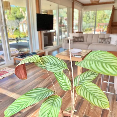 וילה Big With Pool In *