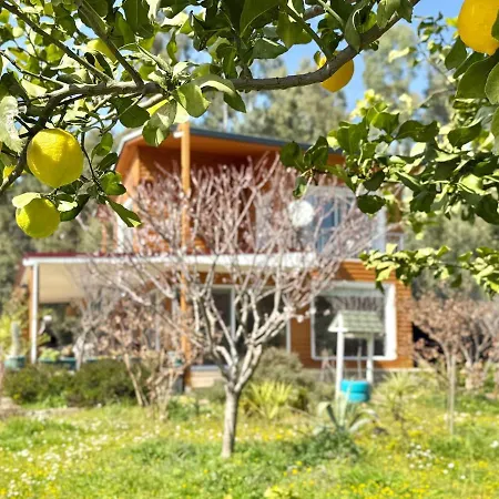 Big With Pool In וילה מרמריס