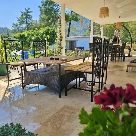 Big With Pool In Villa *