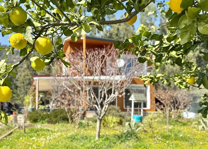 Lueks Villa Kaktues Oezel Havuz, Sauna & Jakuzi & Kano Βίλα Μαρμαρίς