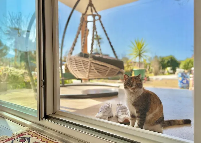 Lueks Villa Kaktues Oezel Havuz, Sauna & Jakuzi & Kano * Μαρμαρίς