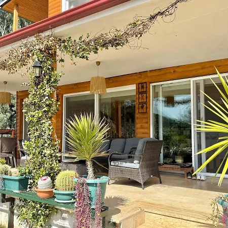 Villa Big With Pool In Marmaris