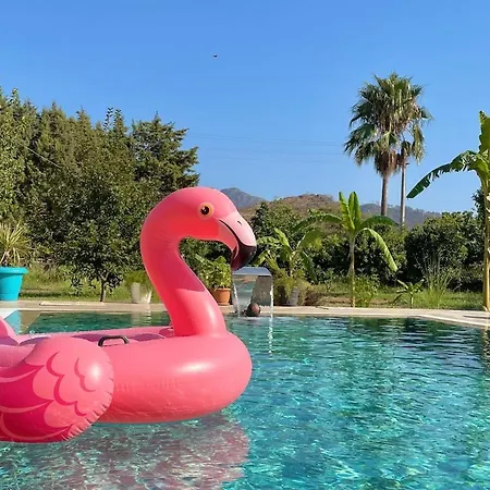 Villa Lüks Kaktüs özel Havuz, Sauna&jakuzi&kano *