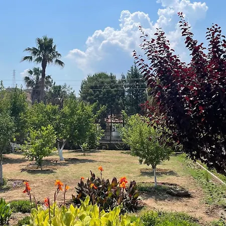 Big With Pool In * Μαρμαρίς