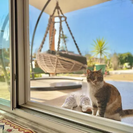 Big With Pool In * Μαρμαρίς