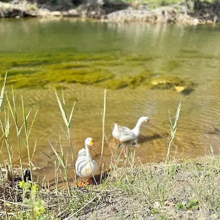 Βίλα Big With Pool In *