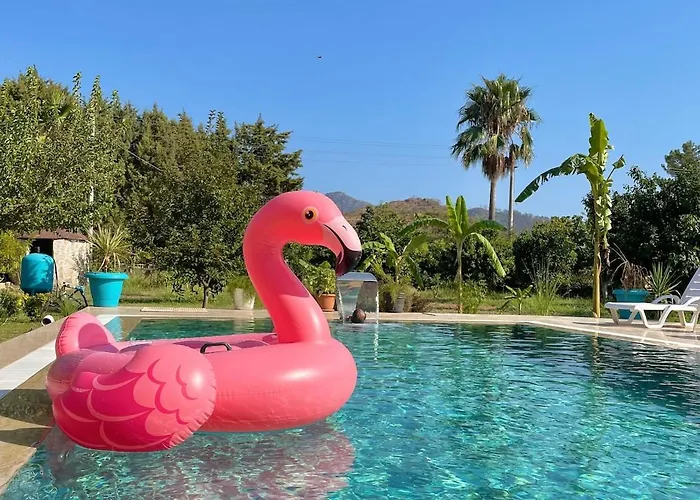 Villa Lüks Villa Kaktüs Özel Havuz, Sauna&Jakuzi&Kano *