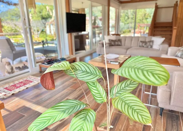 Villa Lueks Villa Kaktues Oezel Havuz, Sauna & Jakuzi & Kano *