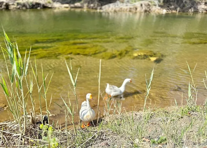 Villa Lueks Villa Kaktues Oezel Havuz, Sauna & Jakuzi & Kano *