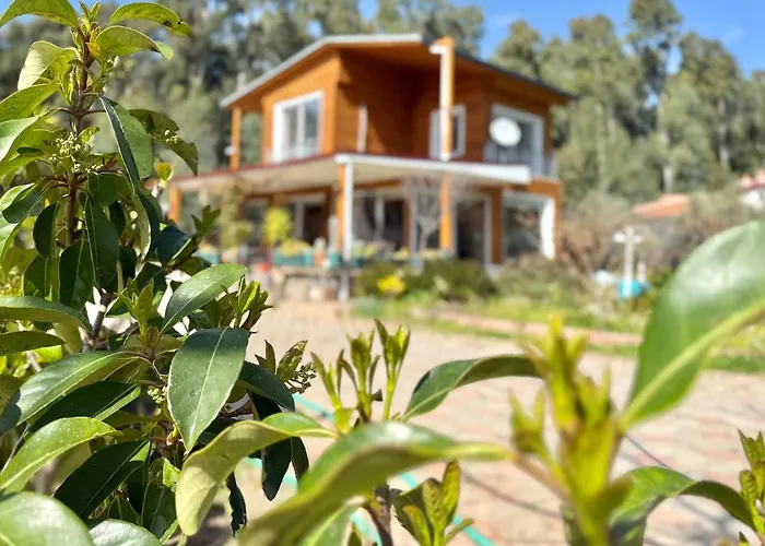 Lueks Villa Kaktues Oezel Havuz, Sauna & Jakuzi & Kano *